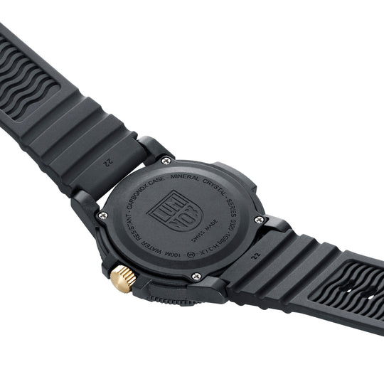 Leatherback Sea Turtle Sort / Champagne 44mm