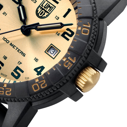 Leatherback Sea Turtle Sort / Champagne 44mm