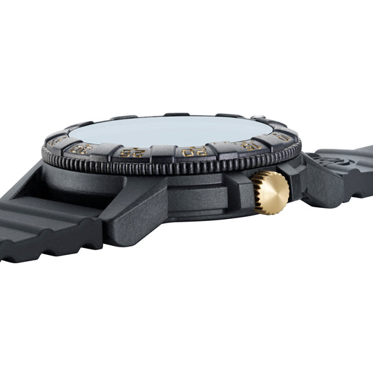 Leatherback Sea Turtle Sort / Champagne 44mm