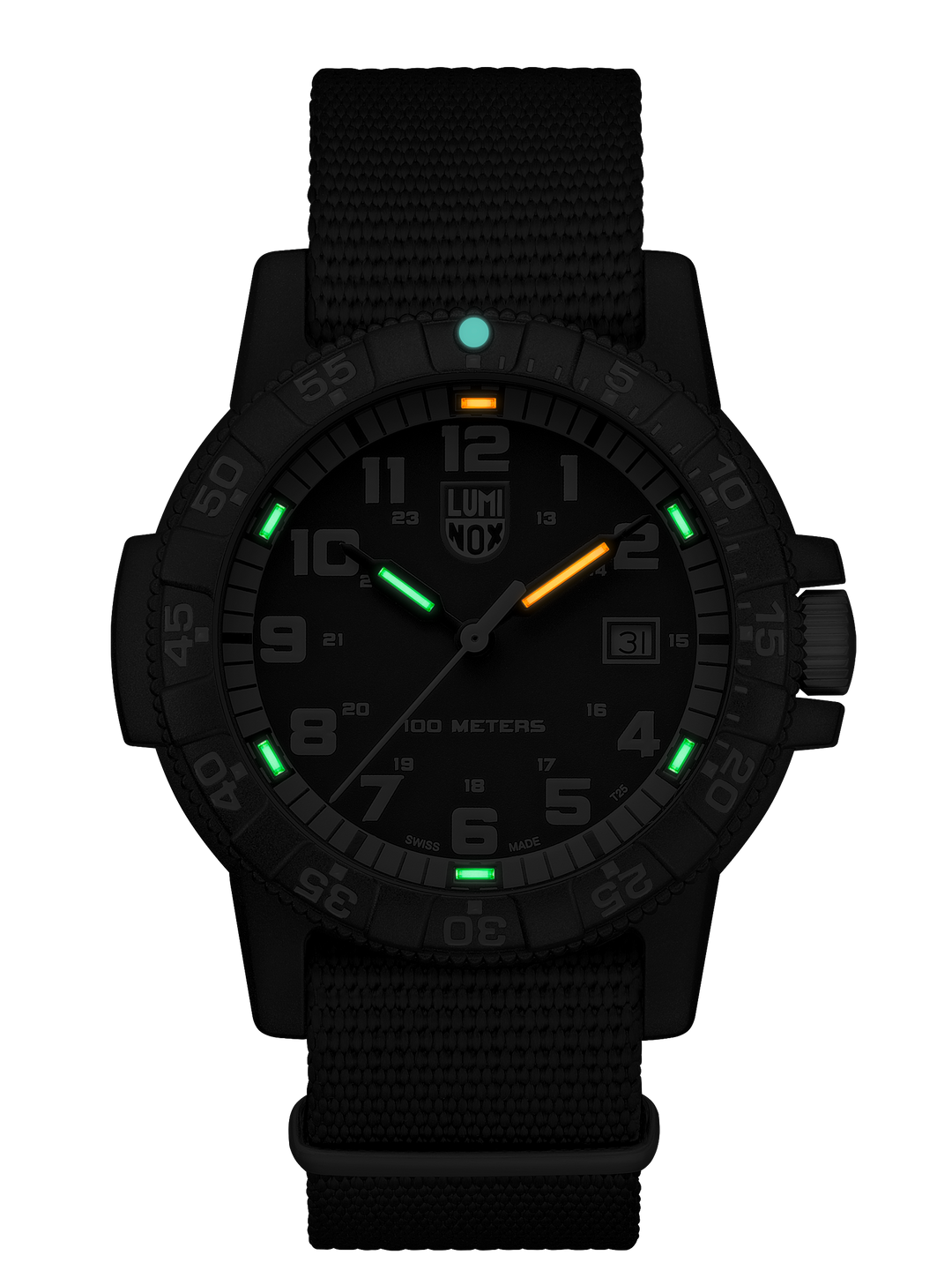 Leatherback Sea Turtle Sort / Sort Nato 44mm