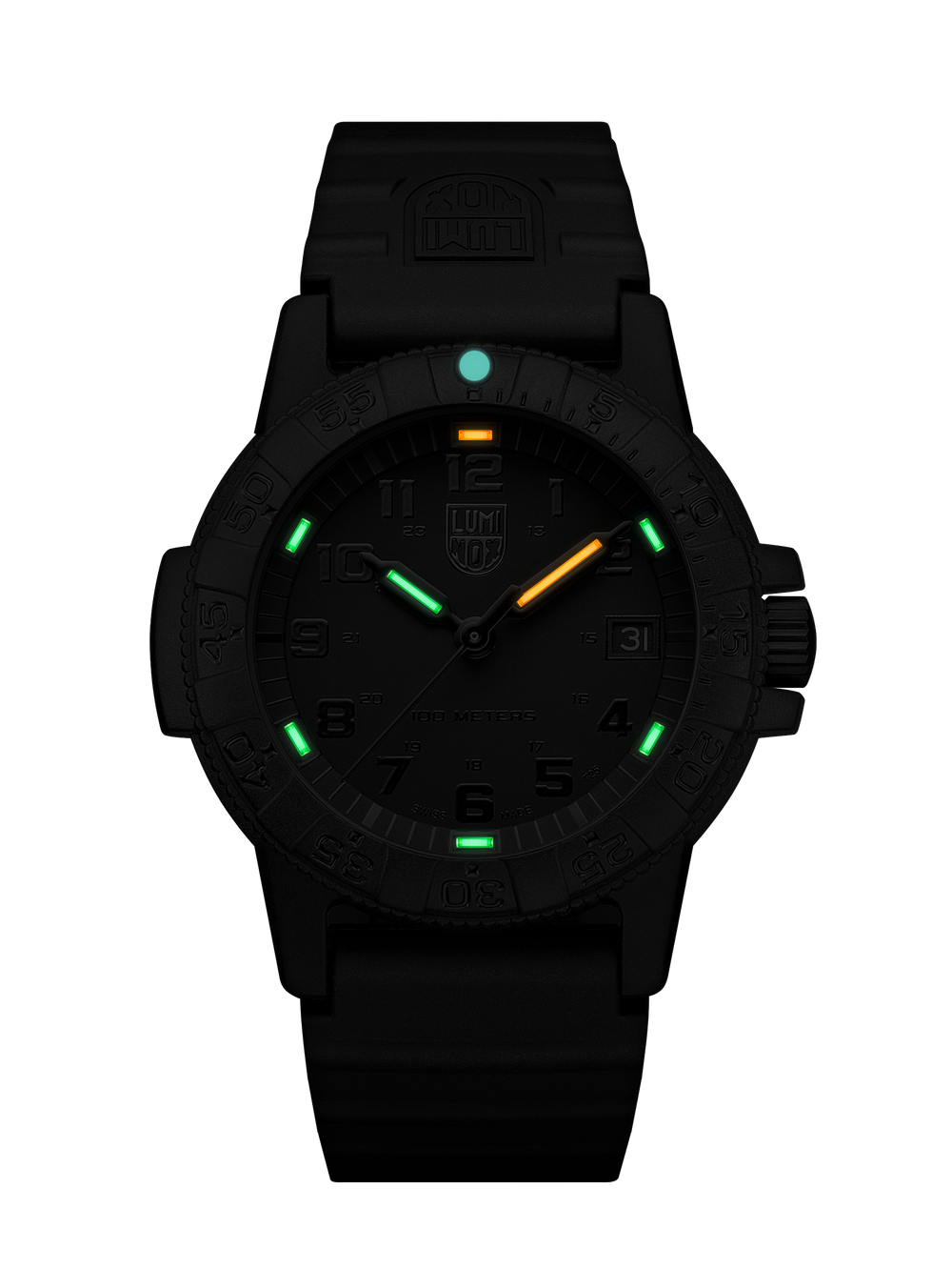 Leatherback Sea Turtle Black / Black 39mm