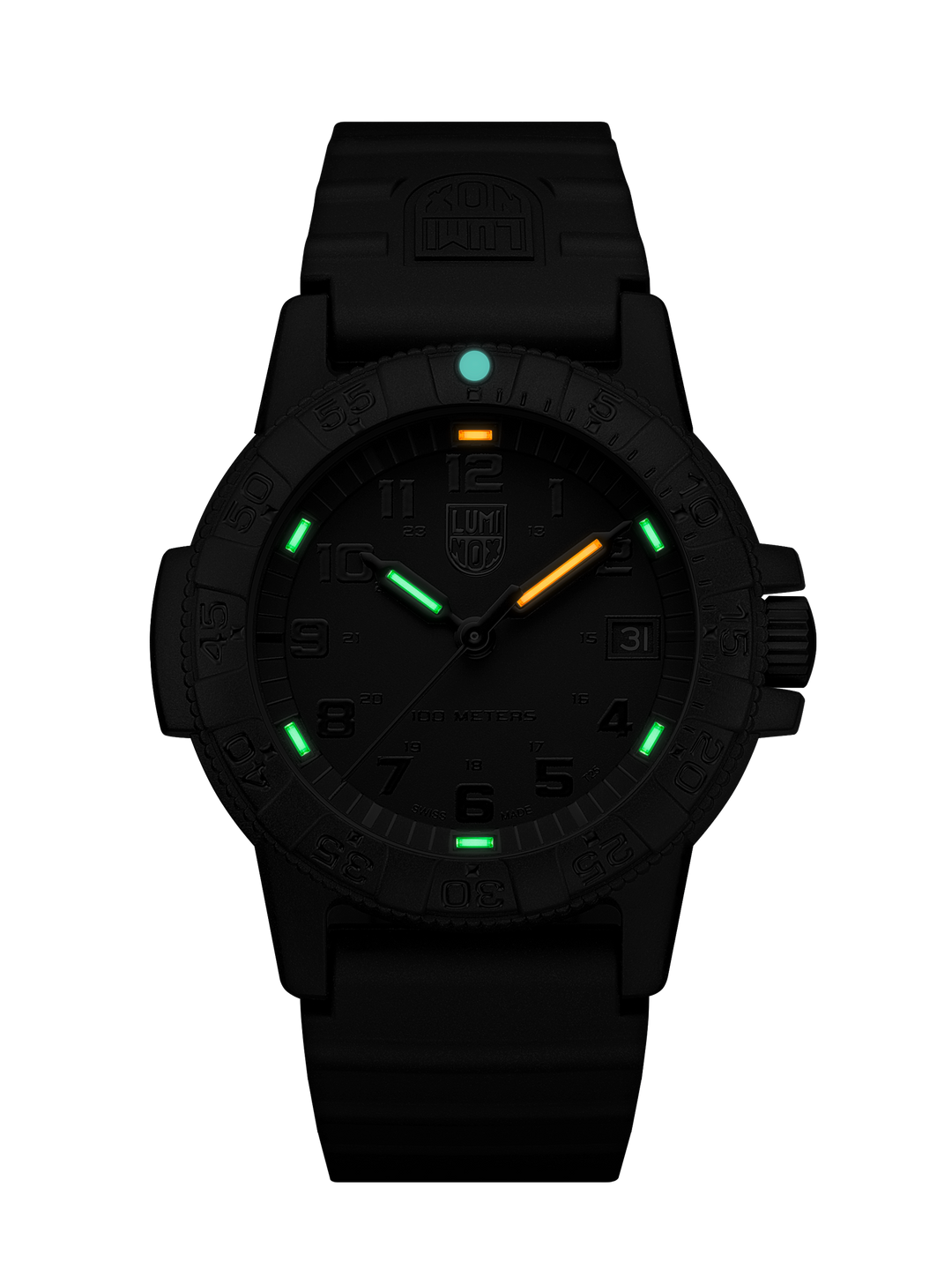 Leatherback Sea Turtle Black / Black 39mm