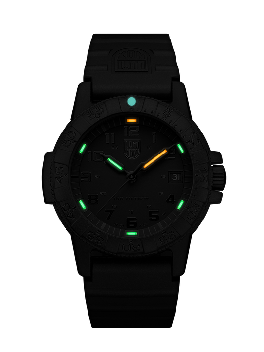 Leatherback Sea Turtle Black / Black 39mm