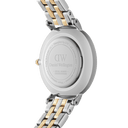 DW Petite 5-Link Evergold dameklokke i tofarget stål (28mm)