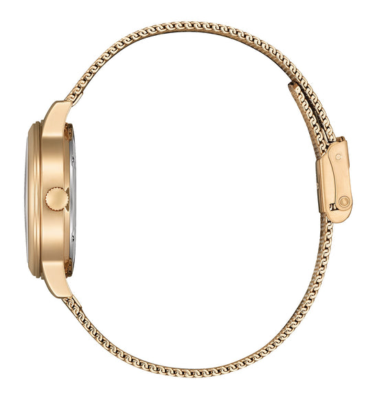 Eco-Drive Lady Double Stål / Champagne Perlemor 31,5mm