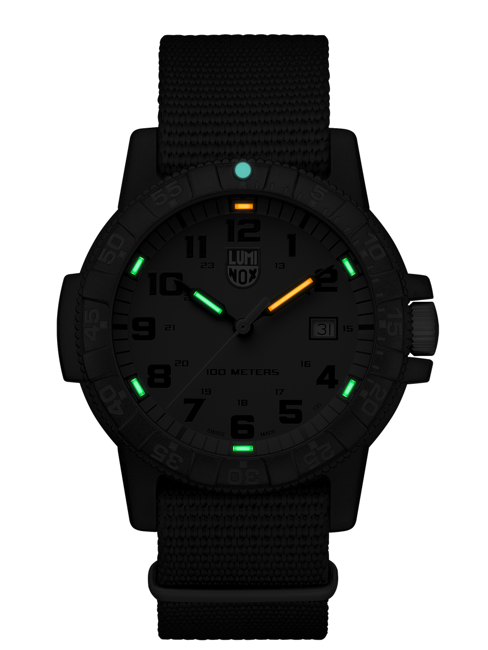 Leatherback Sea Turtle Grønn / Sort Nato 44mm